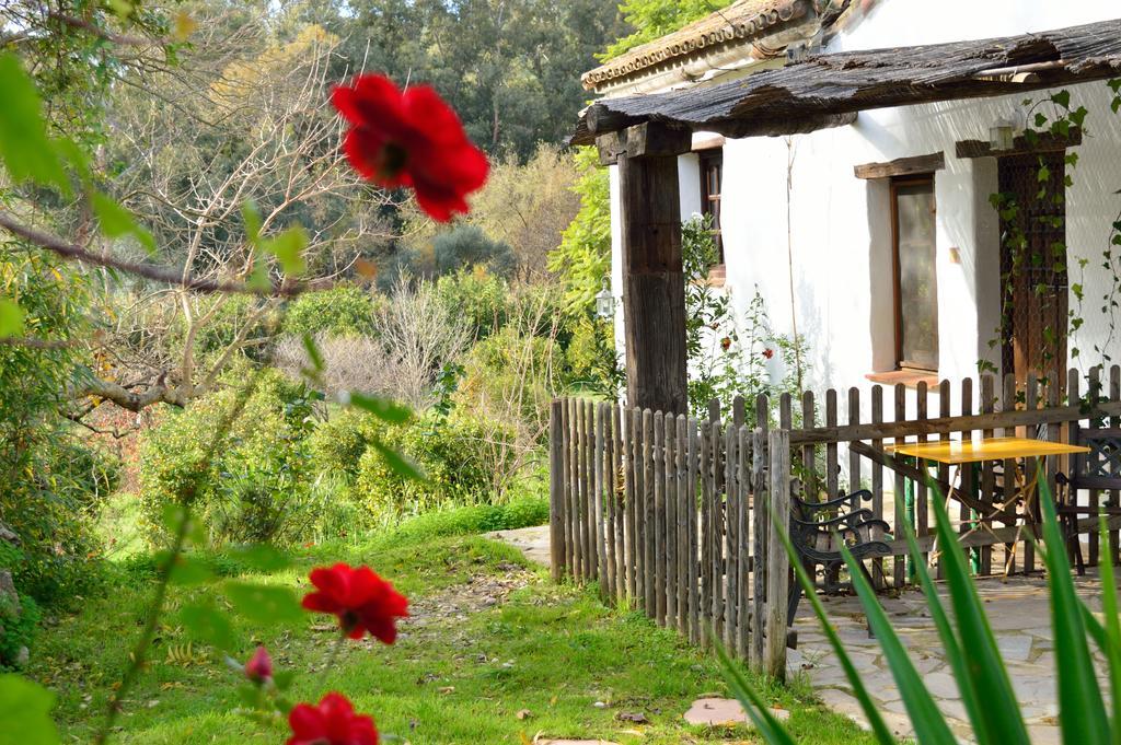 Casa Rural Ahoraya El Colmenar Eksteriør billede