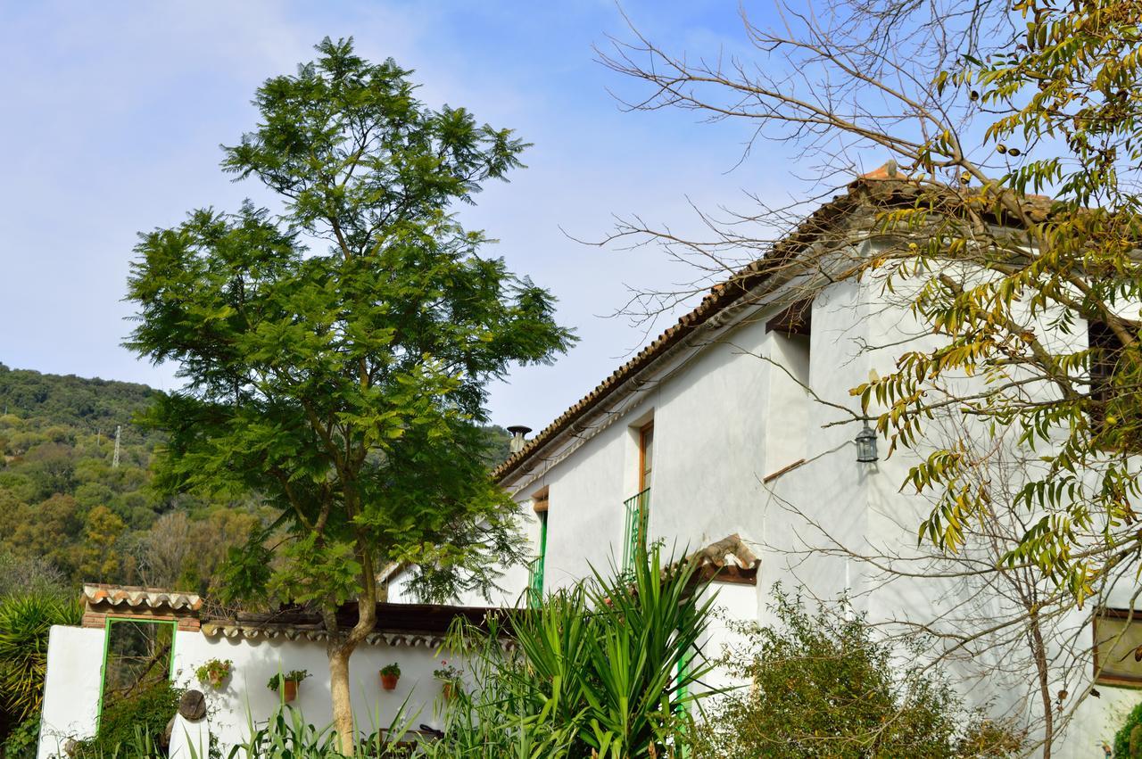Casa Rural Ahoraya El Colmenar Eksteriør billede