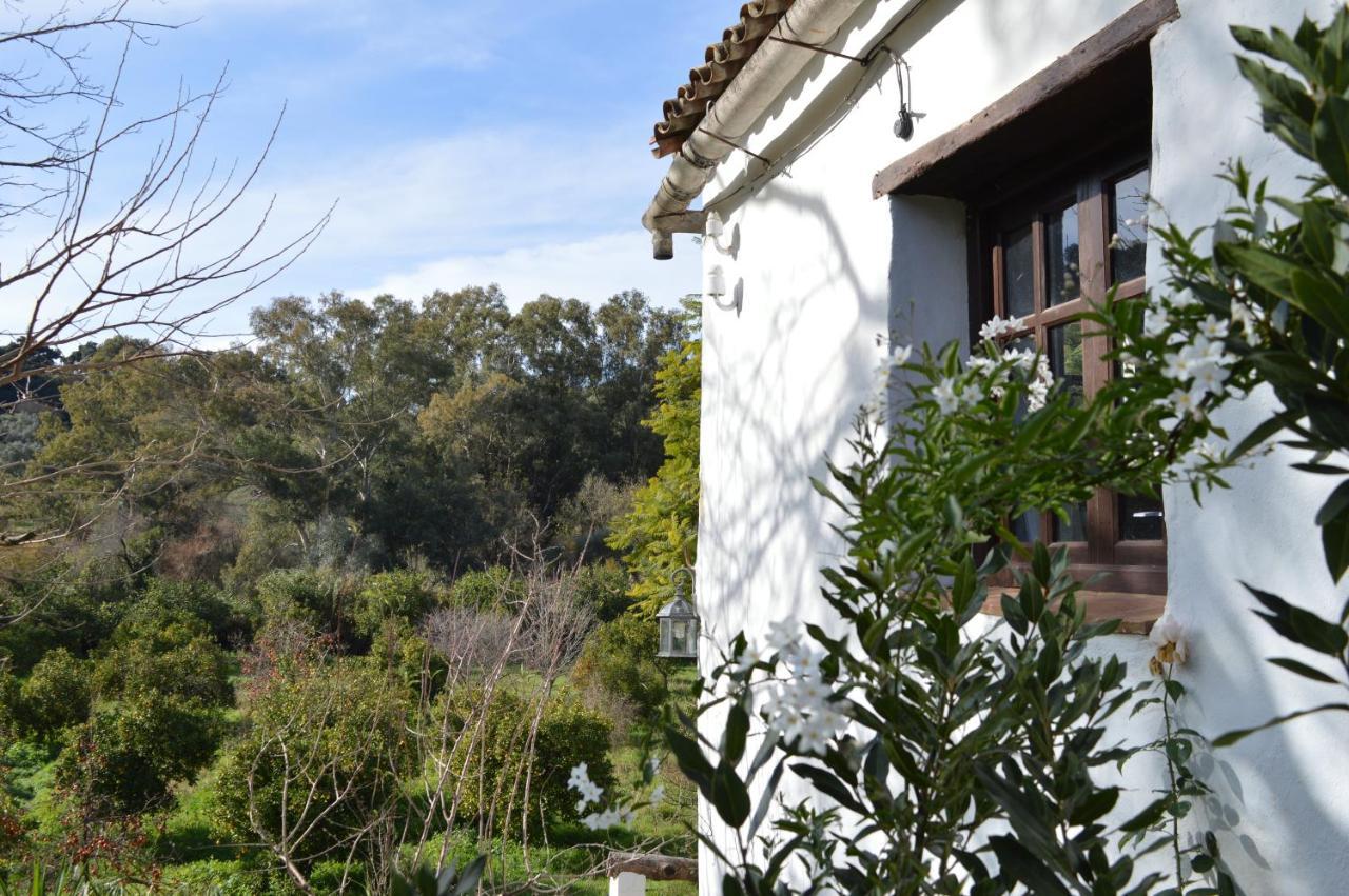 Casa Rural Ahoraya El Colmenar Eksteriør billede